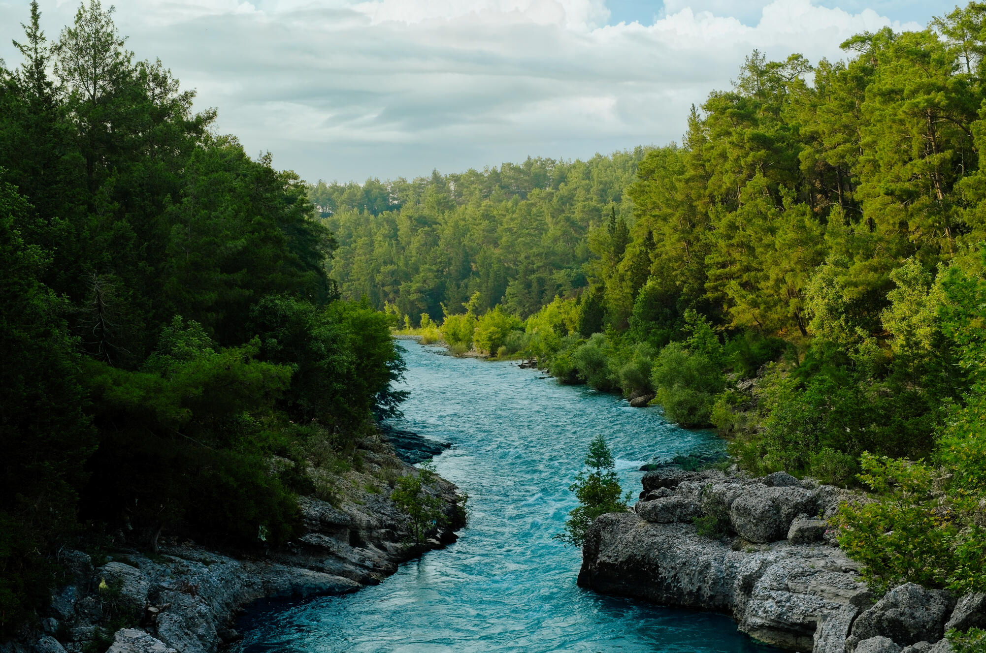 The Path of Blue Waters